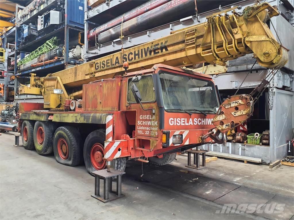 Liebherr LTM 1050 Rabljene dizalice za težak teren