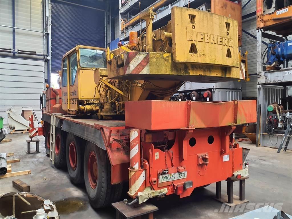Liebherr LTM 1050 Rabljene dizalice za težak teren