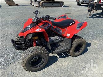Can-am DS90