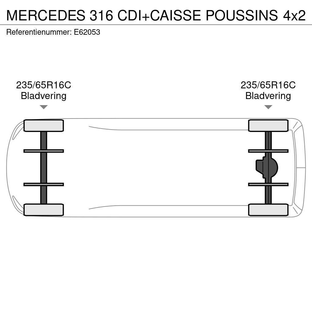 Mercedes-Benz 316 CDI+CAISSE POUSSINS Dostavna vozila hladnjače