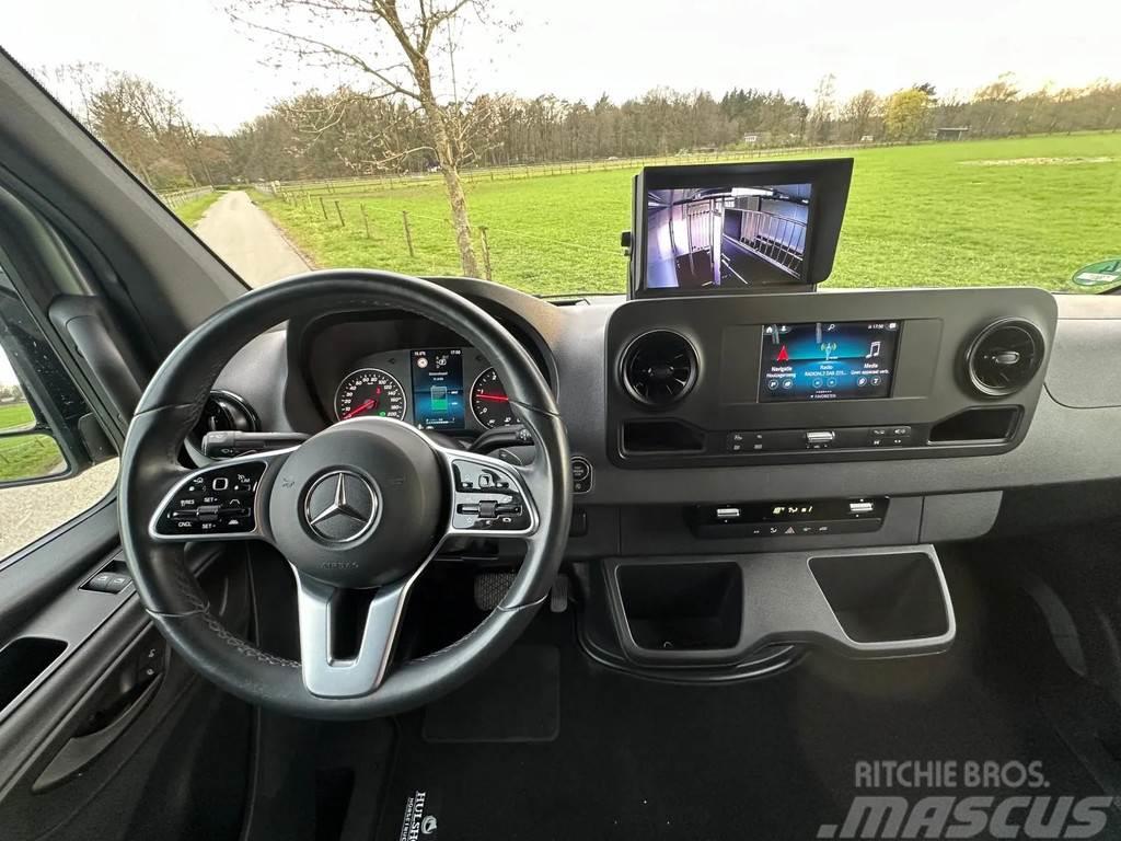 Mercedes-Benz Sprinter AMG 2-paards paardenvrachtwagen B-rijbewi Kamioni za transport stoke