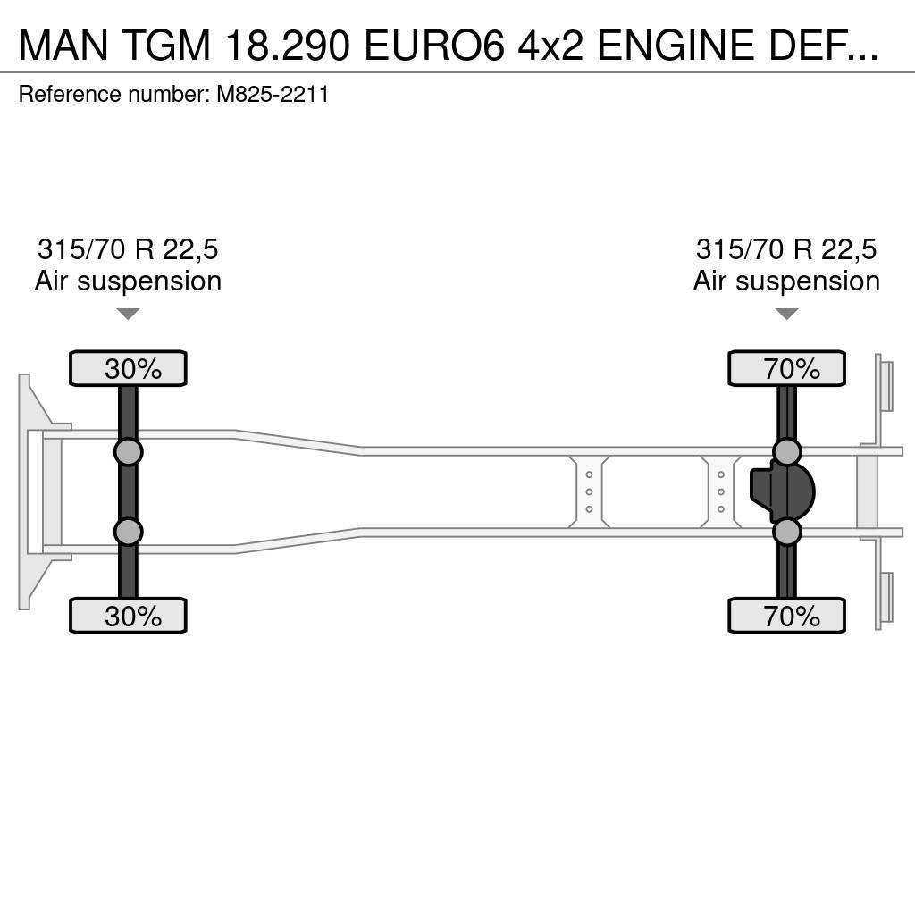 MAN TGM 18.290 EURO6 4x2 ENGINE DEFECT!!! Kamioni hladnjače