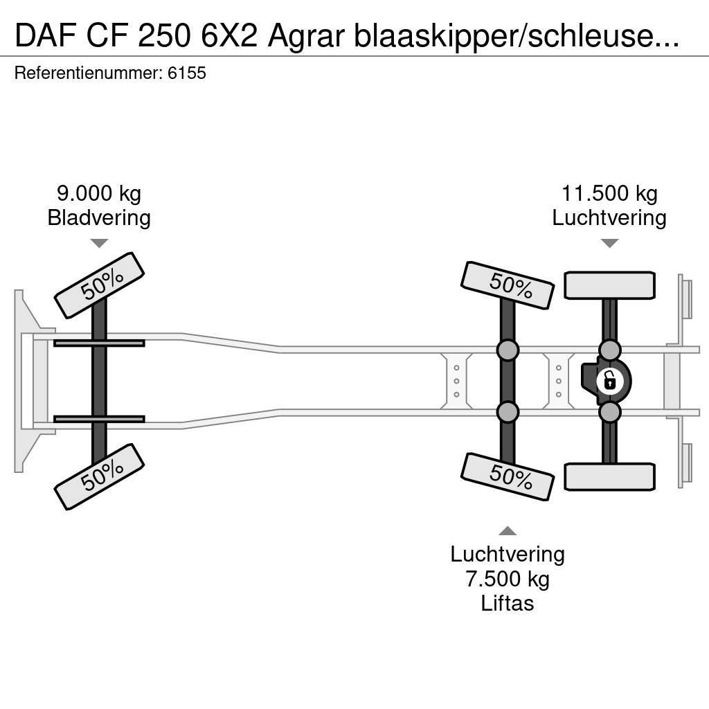 DAF CF 250 6X2 Agrar blaaskipper/schleuse Blower Manua Kiper kamioni