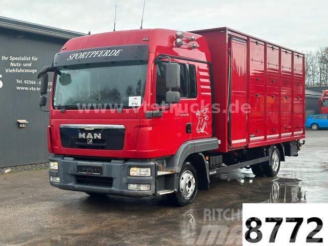 MAN TGL 10.250 4x2 Euro5 1.Stock Westrick Kamioni za transport stoke